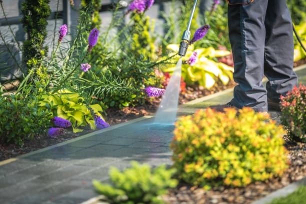 Best Patio and Deck Pressure Washing  in Medina, NY