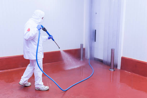 Best Factory Floor Cleaning  in Medina, NY