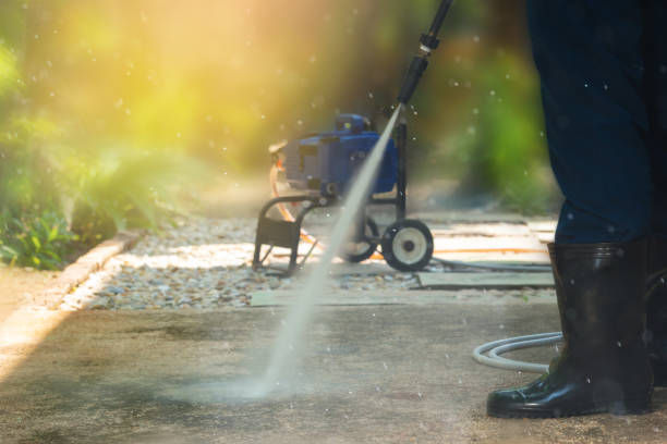 Best Roof Washing  in Medina, NY